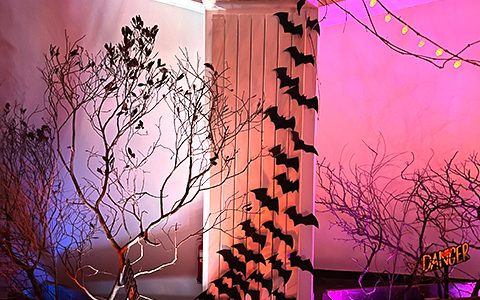 Decoration pour soirée Halloween aux Terrasses de Valerian